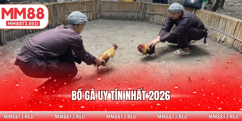 bồ gà uy tín nhất 2026