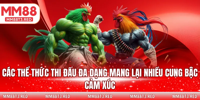 Các thể thức thi đấu đa dạng mang lại nhiều cung bậc cảm xúc