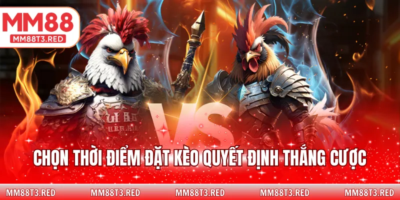 Chọn thời điểm đặt kèo quyết định thắng cược