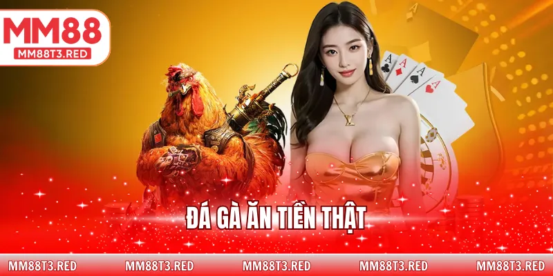 đá gà ăn tiền thật