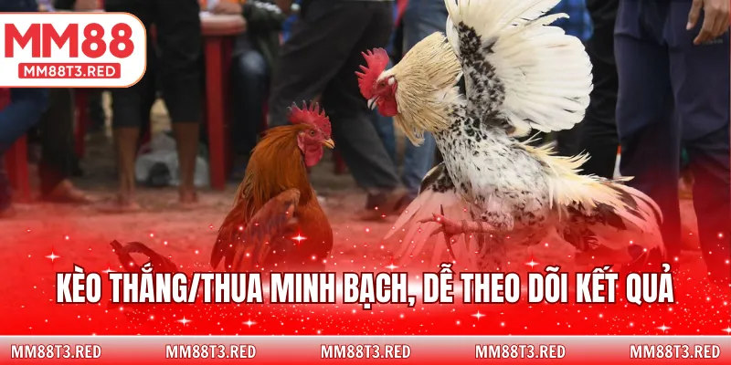 Kèo thắng/thua minh bạch, dễ theo dõi kết quả