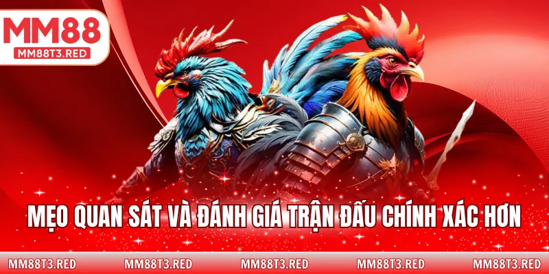 Mẹo quan sát và đánh giá trận đấu chính xác hơn