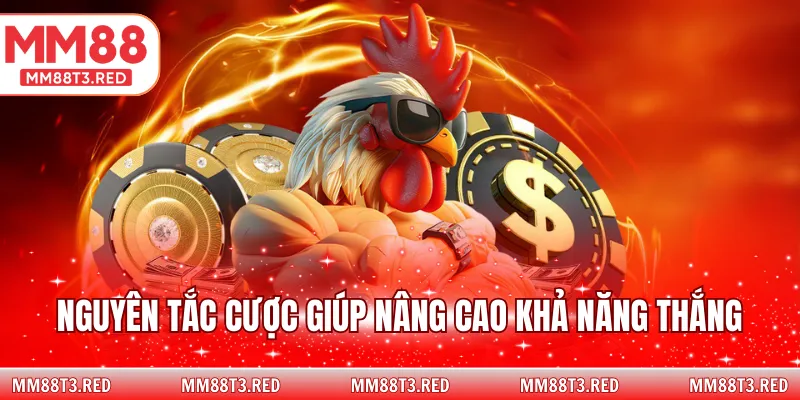 Nguyên tắc cược giúp nâng cao khả năng thắng