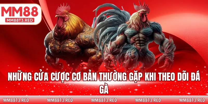 Những cửa cược cơ bản thường gặp khi theo dõi đá gà