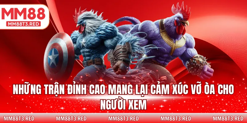 Những trận đỉnh cao mang lại cảm xúc vỡ òa cho người xem