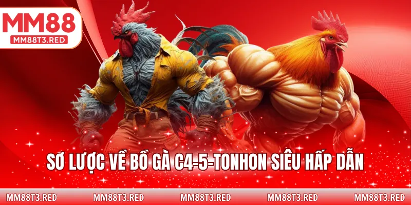 Sơ lược về bồ gà C4-5-Tonhon siêu hấp dẫn