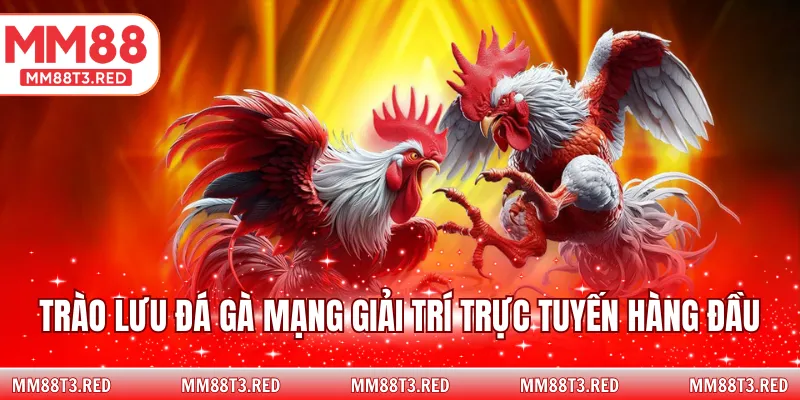 Trào lưu đá gà mạng giải trí trực tuyến hàng đầu